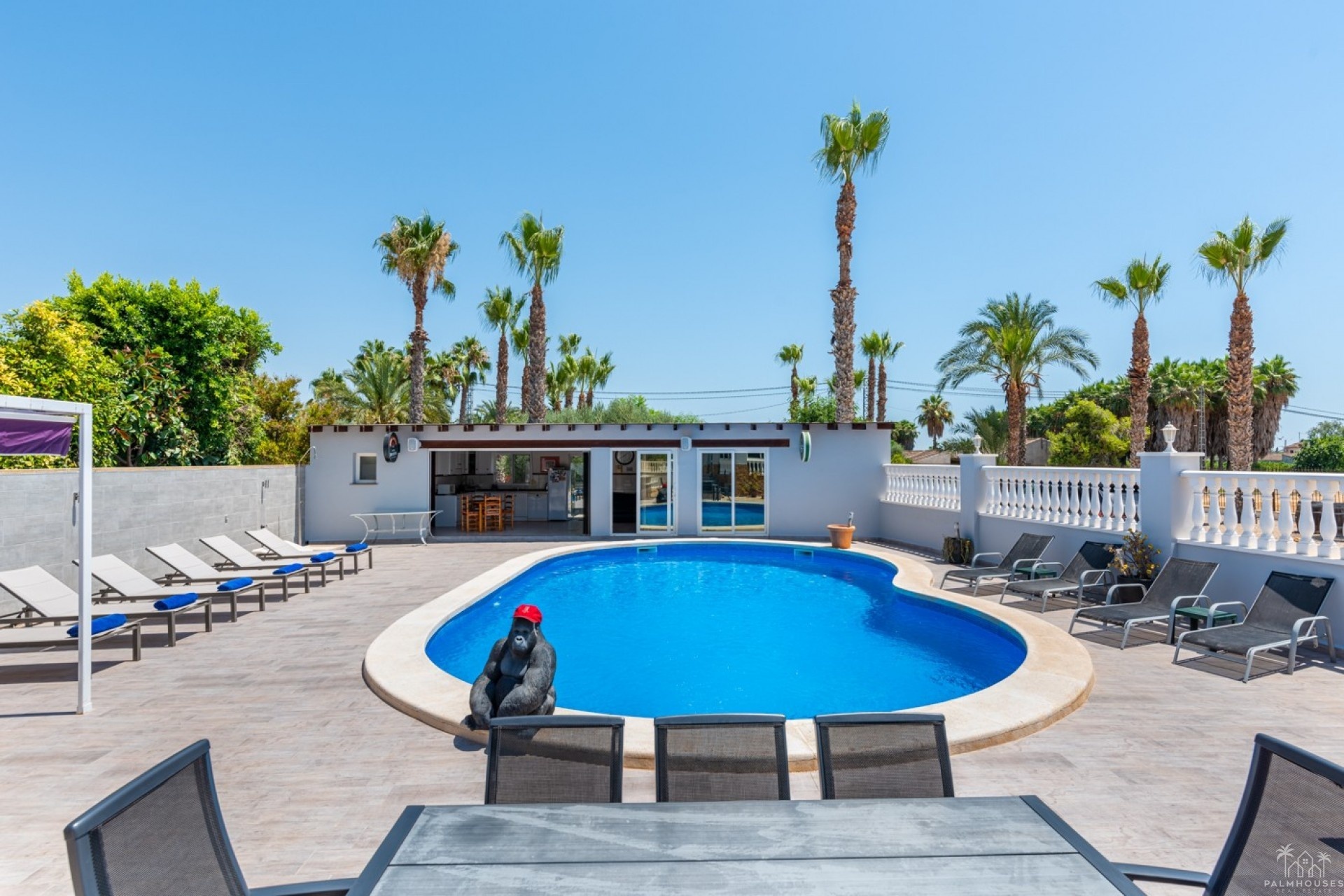 Venta - Finca - Catral