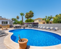 Venta - Finca - Catral