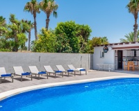Venta - Finca - Catral