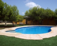 Venta - Finca - Ciudad Quesada - Lo Pepin