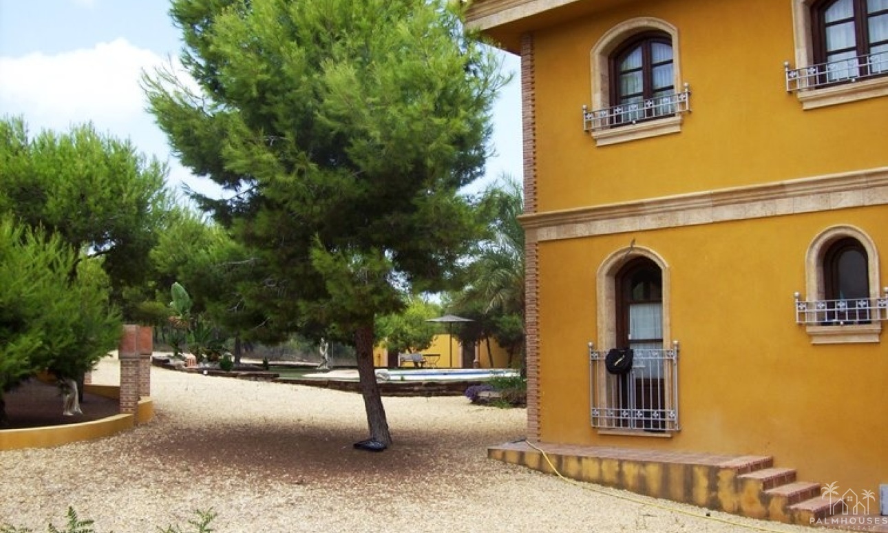 Venta - Finca - Ciudad Quesada - Lo Pepin