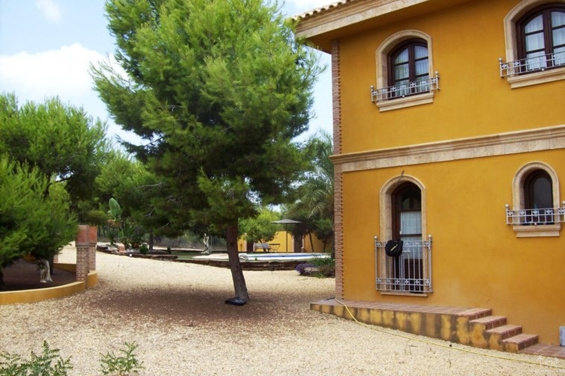 Venta - Finca - Ciudad Quesada - Lo Pepin