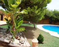 Venta - Finca - Ciudad Quesada - Lo Pepin