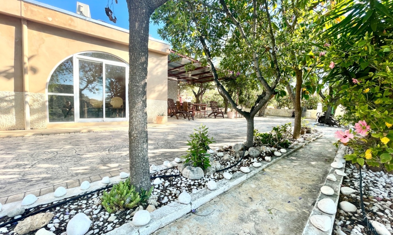 Venta - Finca - Crevillente
