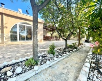Venta - Finca - Crevillente