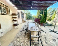 Venta - Finca - Crevillente