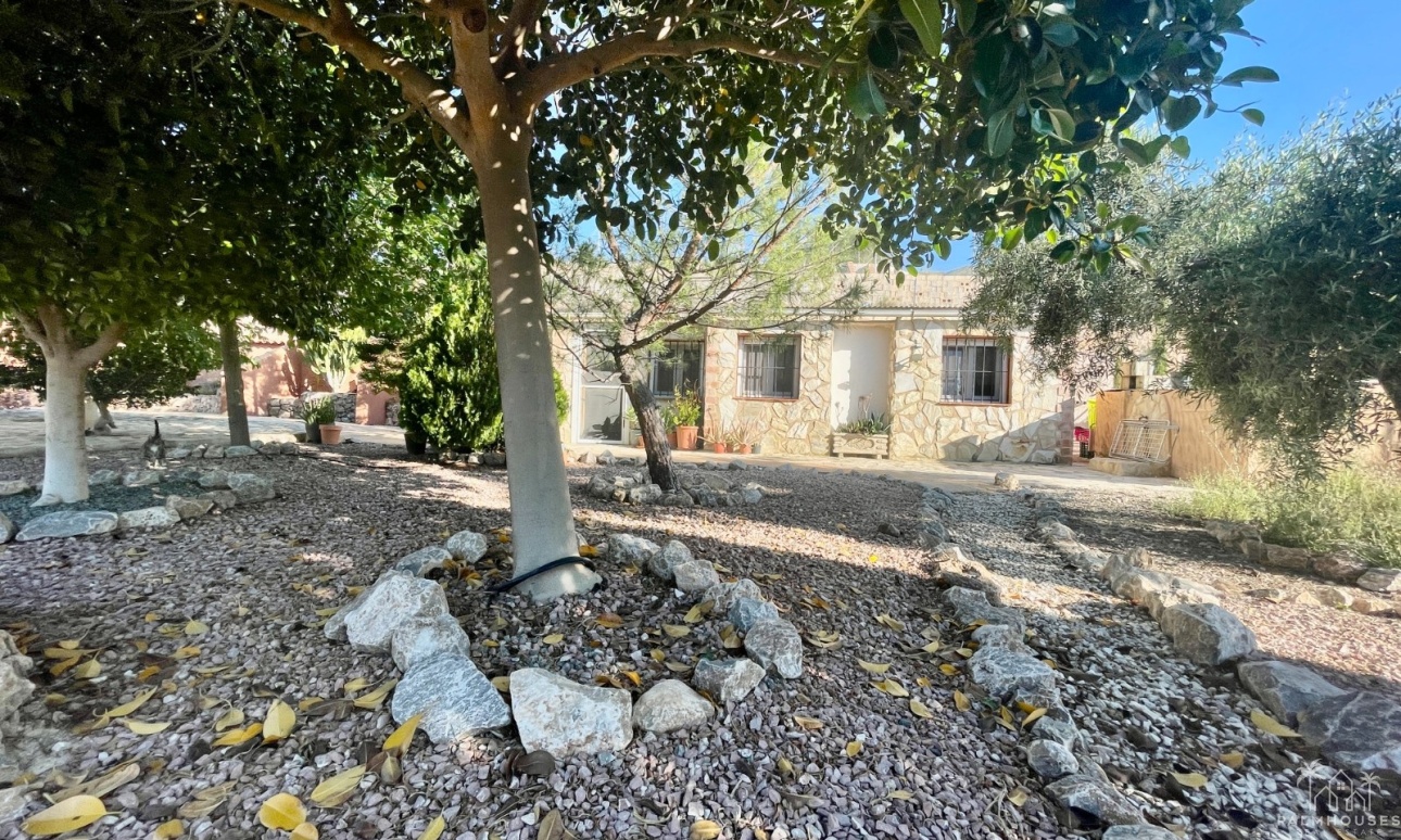 Venta - Finca - Crevillente