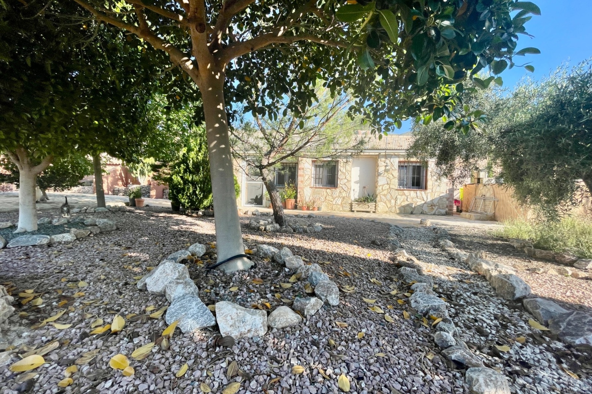 Venta - Finca - Crevillente