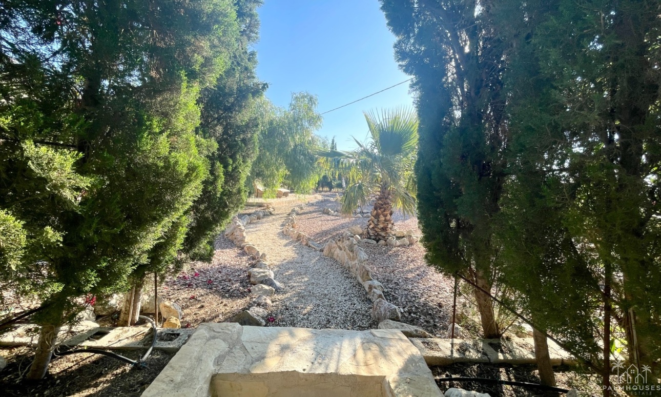 Venta - Finca - Crevillente
