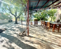 Venta - Finca - Crevillente