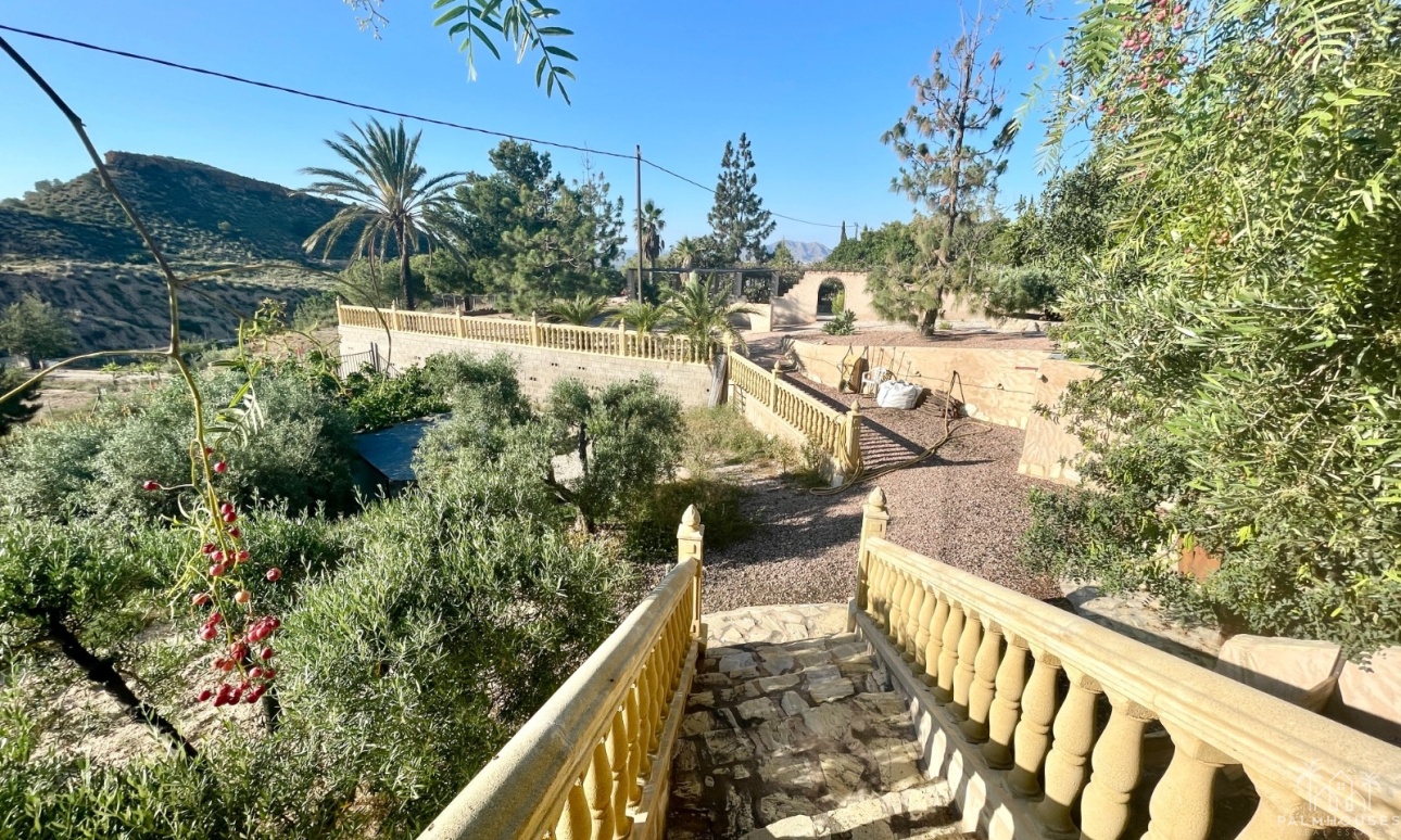 Venta - Finca - Crevillente