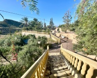 Venta - Finca - Crevillente