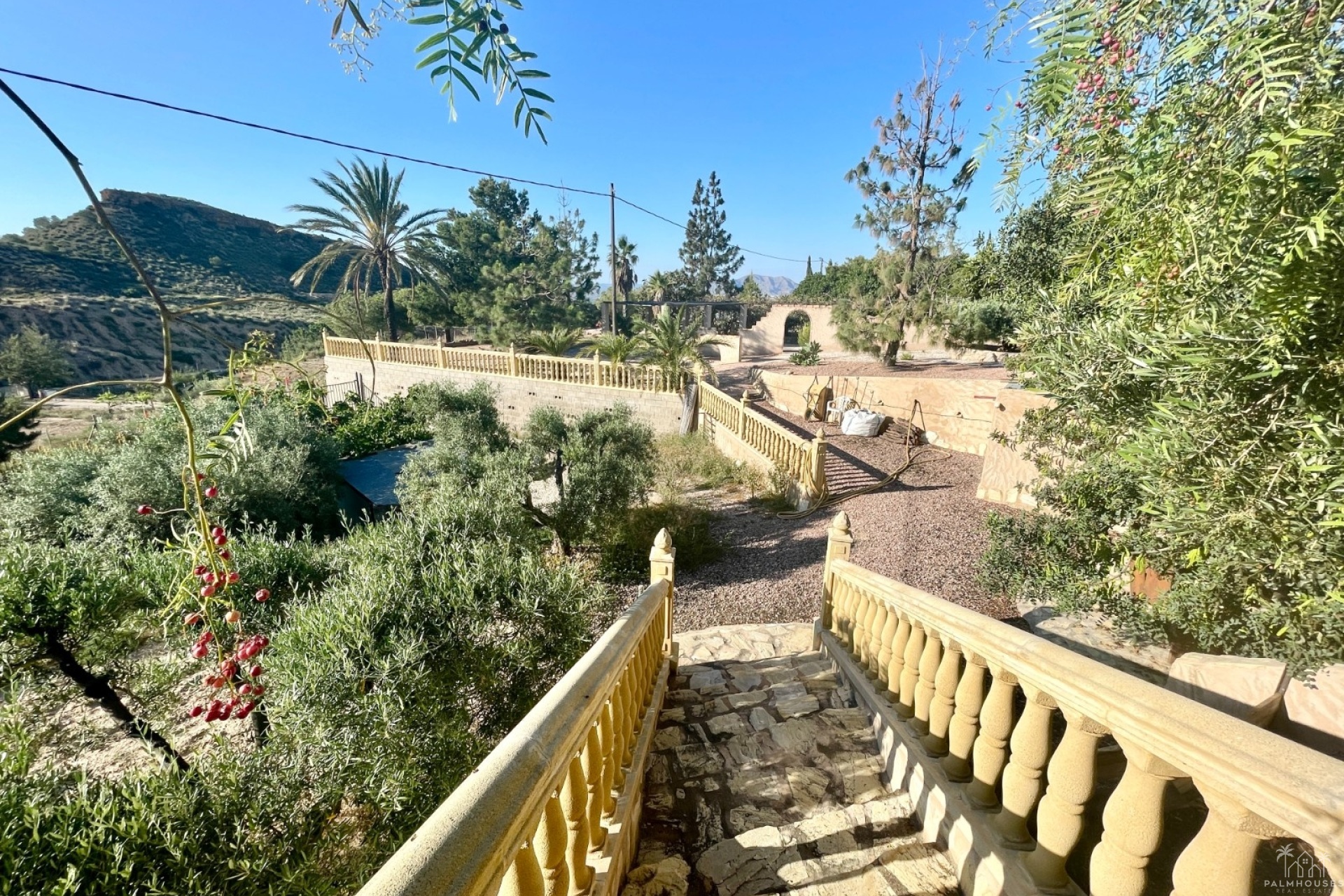 Venta - Finca - Crevillente