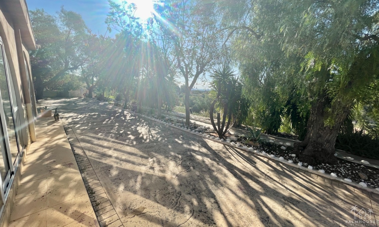 Venta - Finca - Crevillente