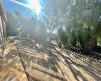 Venta - Finca - Crevillente