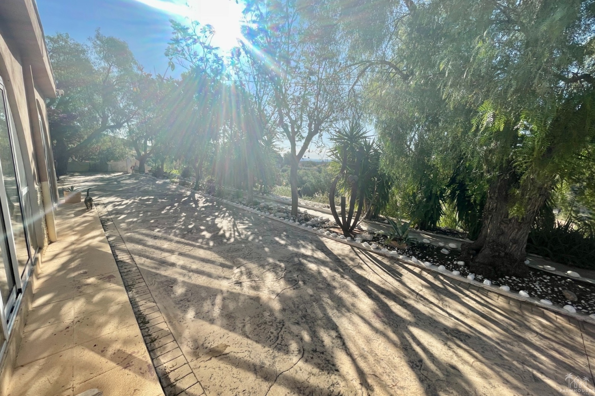 Venta - Finca - Crevillente