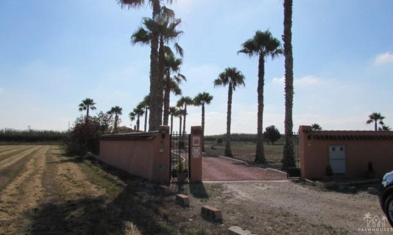 Venta - Finca - Dolores - Comunidad Valenciana