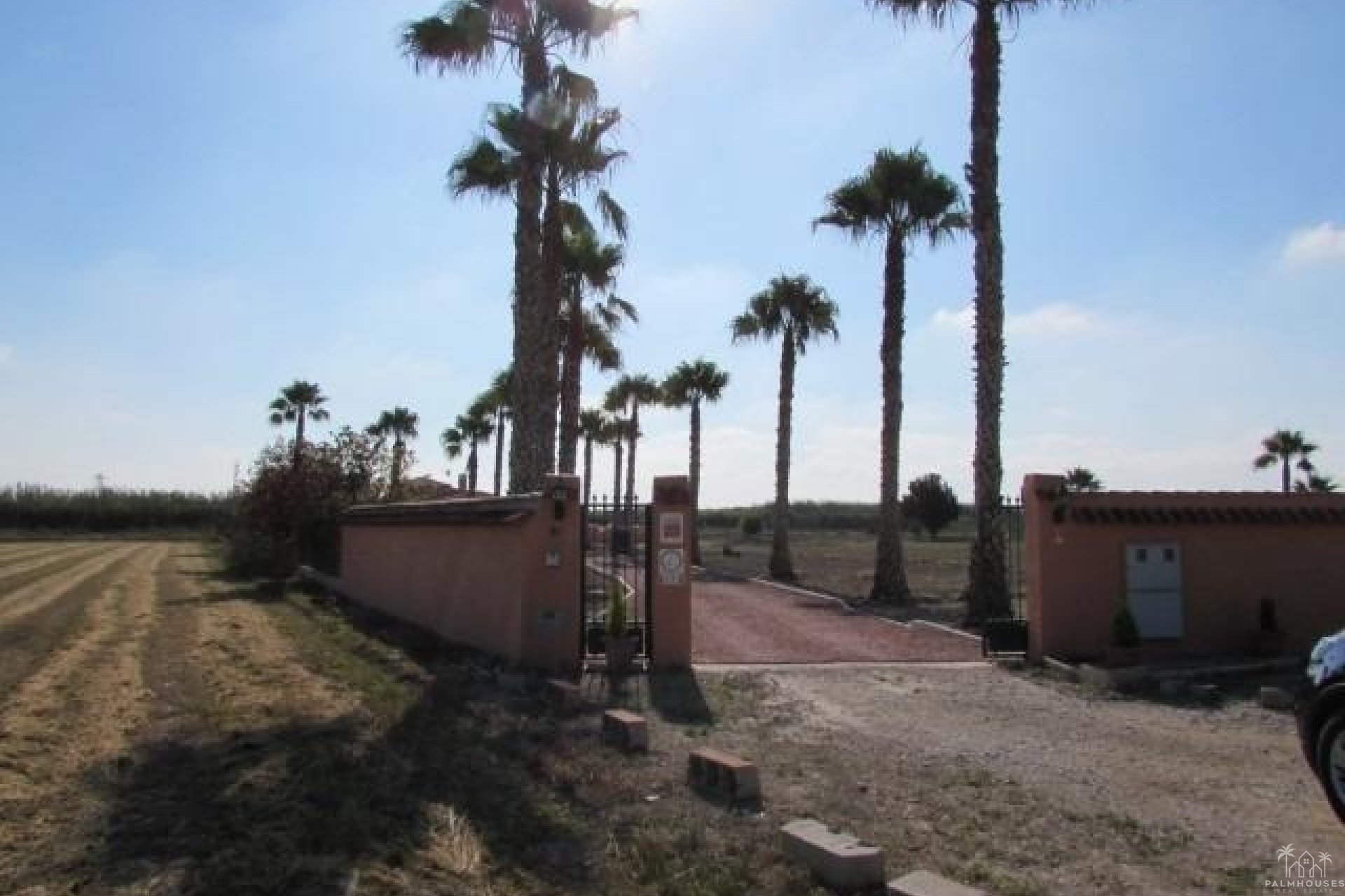 Venta - Finca - Dolores - Comunidad Valenciana
