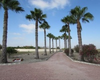 Venta - Finca - Dolores - Comunidad Valenciana