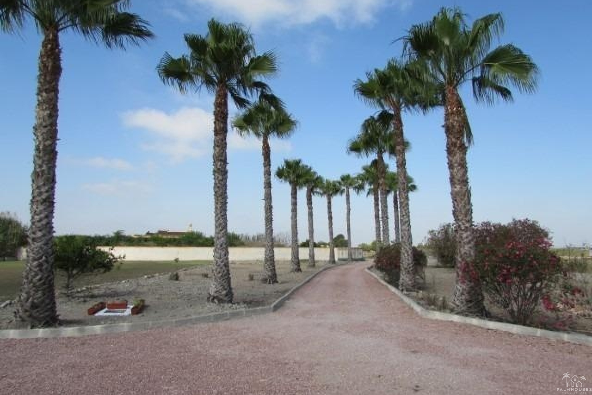Venta - Finca - Dolores - Comunidad Valenciana