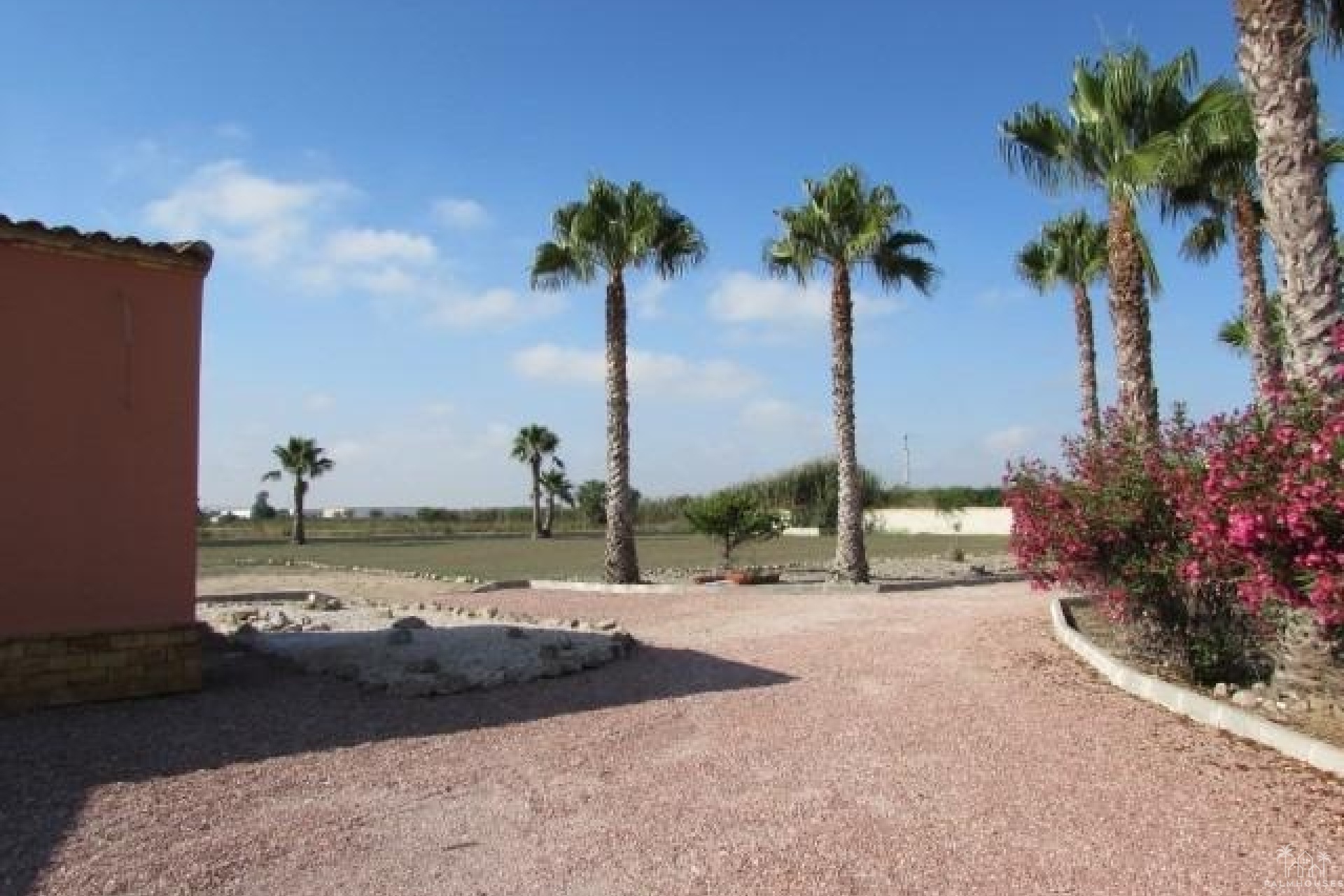 Venta - Finca - Dolores - Comunidad Valenciana