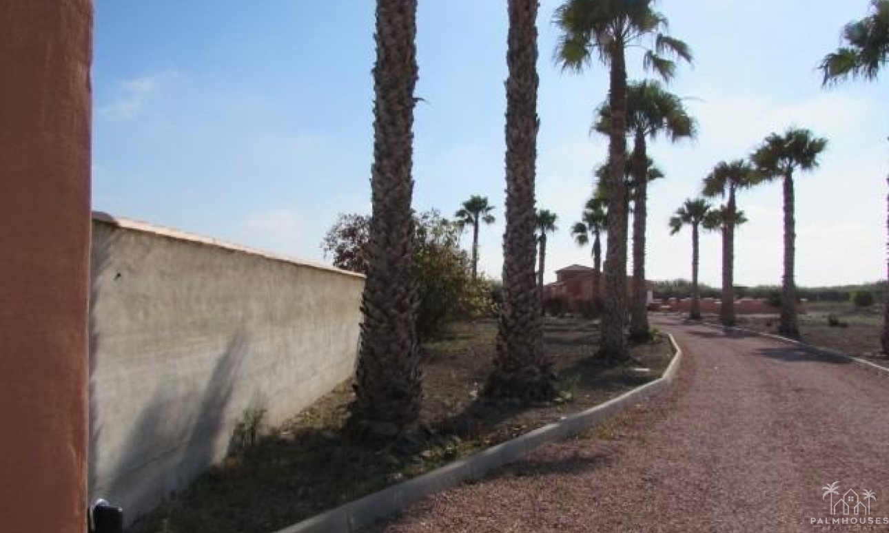 Venta - Finca - Dolores - Comunidad Valenciana