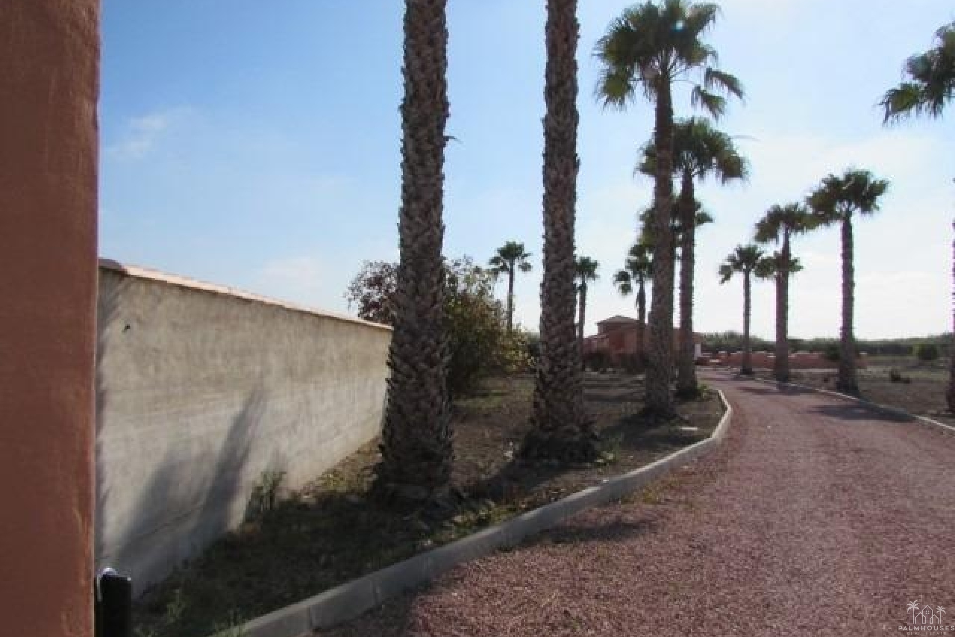 Venta - Finca - Dolores - Comunidad Valenciana