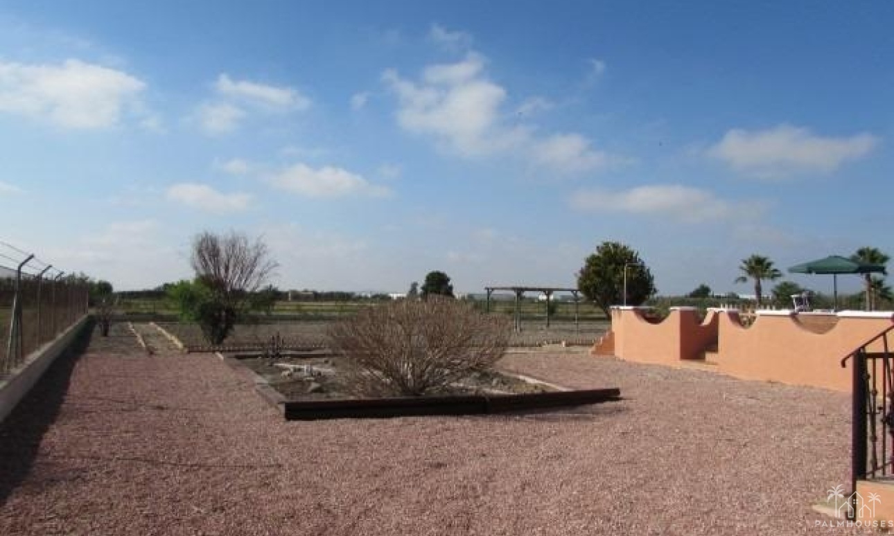 Venta - Finca - Dolores - Comunidad Valenciana