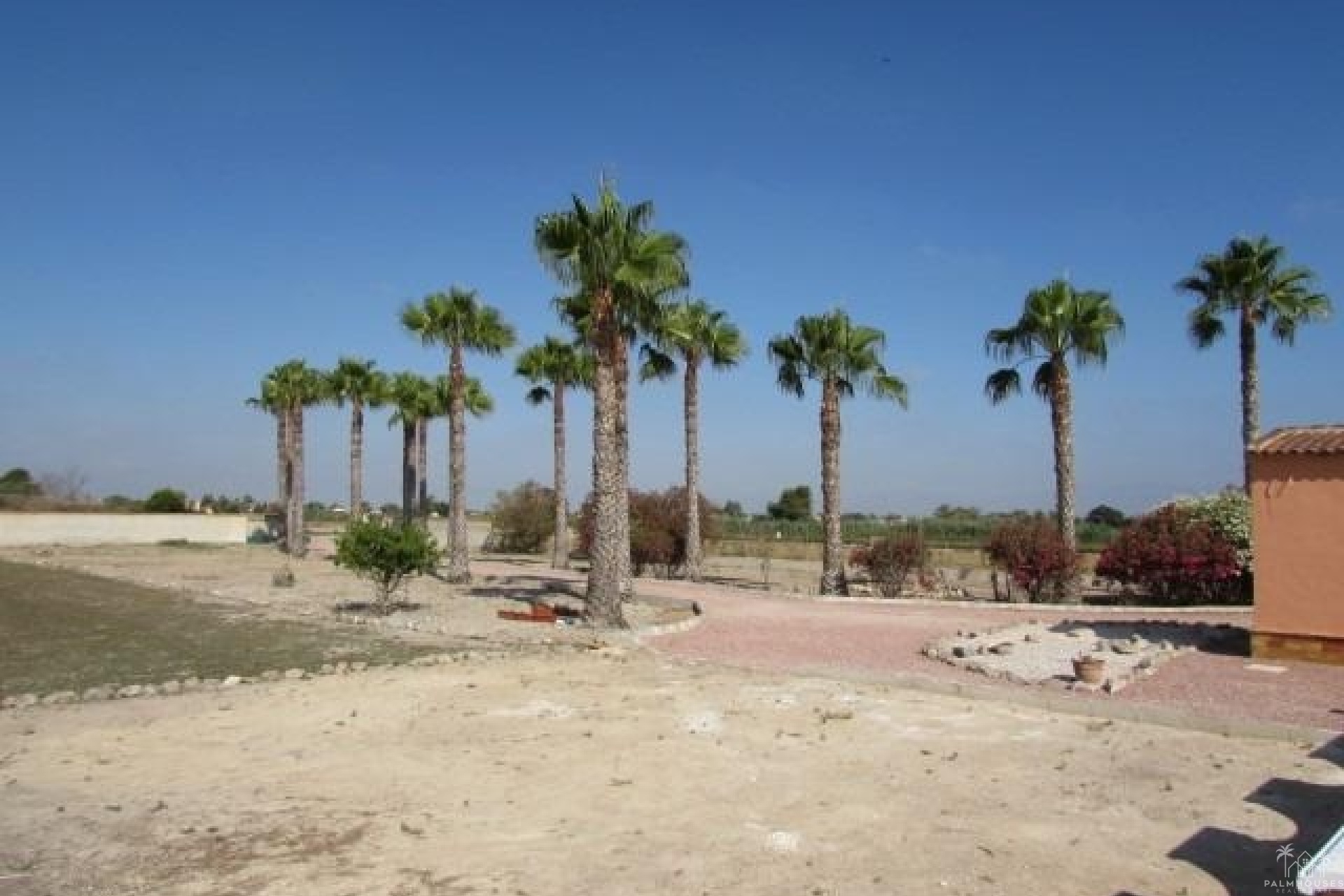 Venta - Finca - Dolores - Comunidad Valenciana