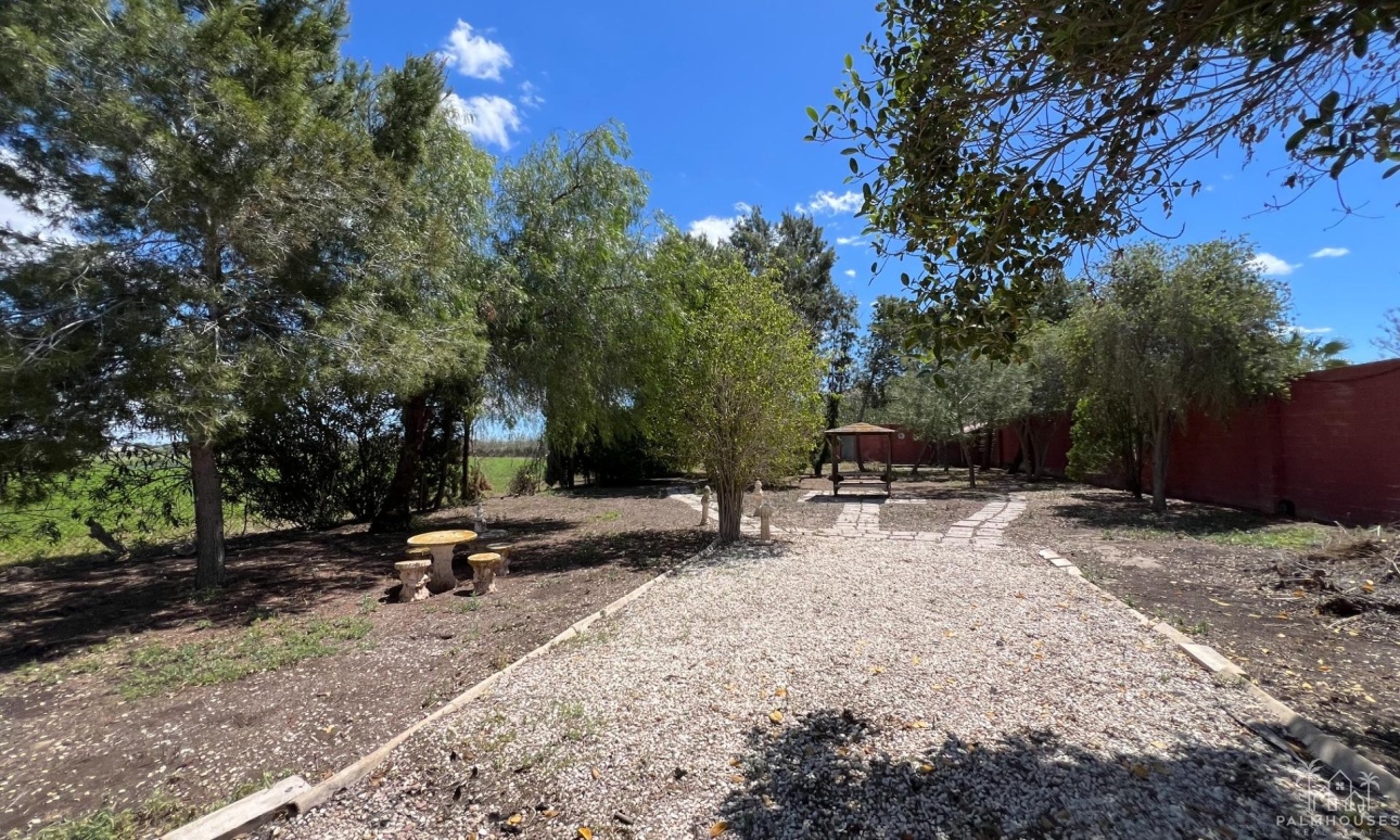Venta - Finca - Dolores - Comunidad Valenciana