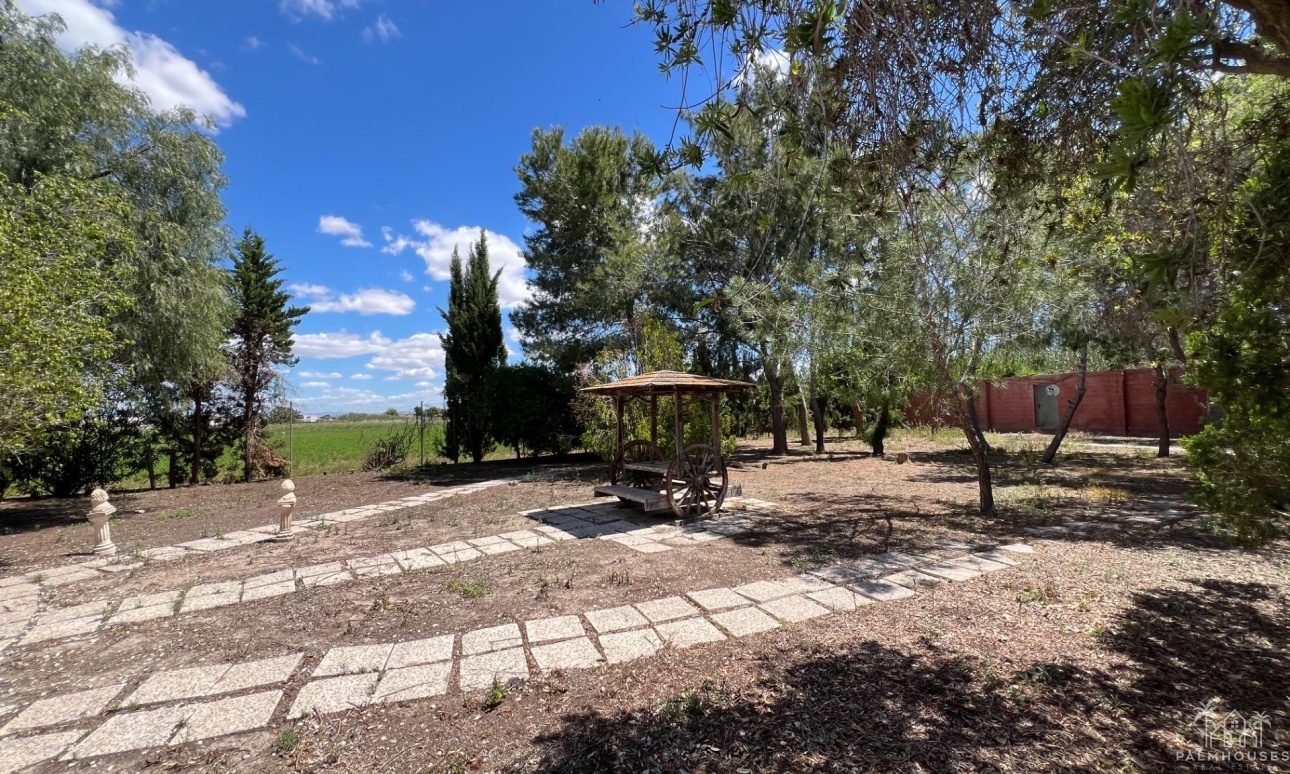 Venta - Finca - Dolores - Comunidad Valenciana