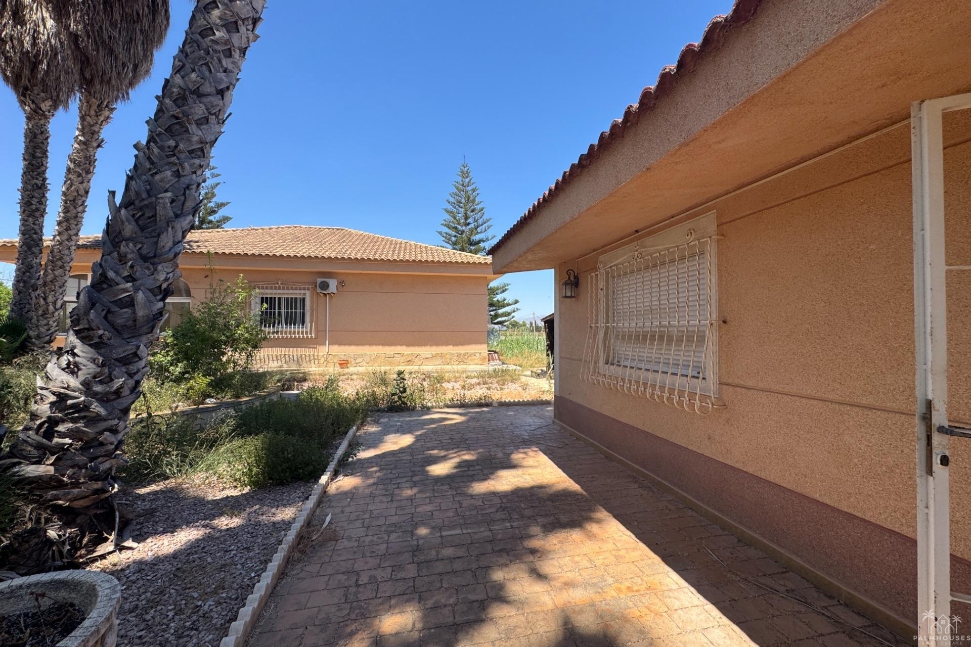 Venta - Finca - Dolores - Comunidad Valenciana