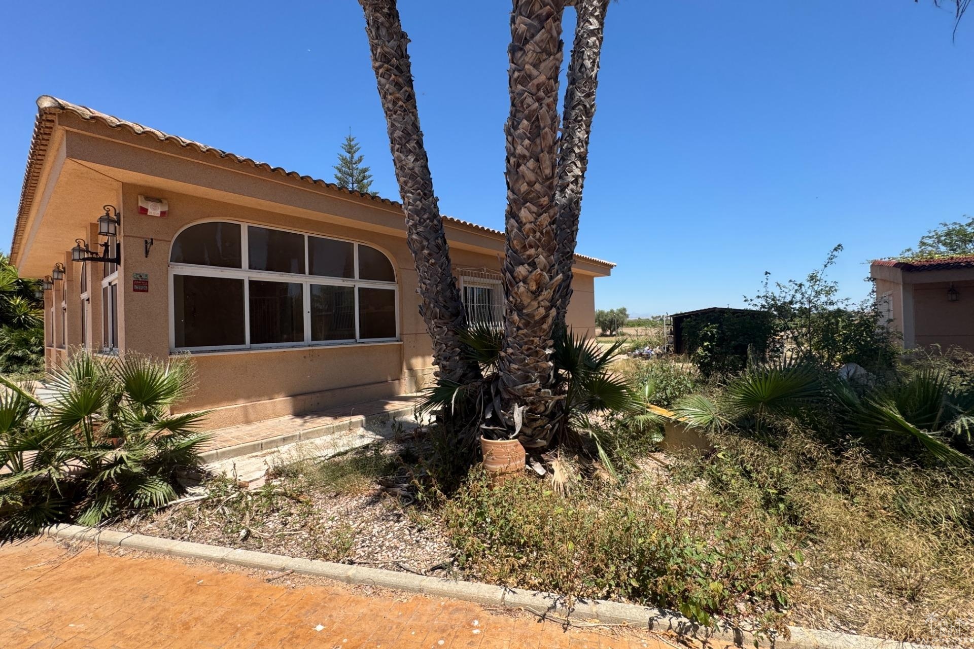 Venta - Finca - Dolores - Comunidad Valenciana