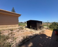 Venta - Finca - Dolores - Comunidad Valenciana