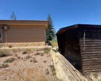 Venta - Finca - Dolores - Comunidad Valenciana