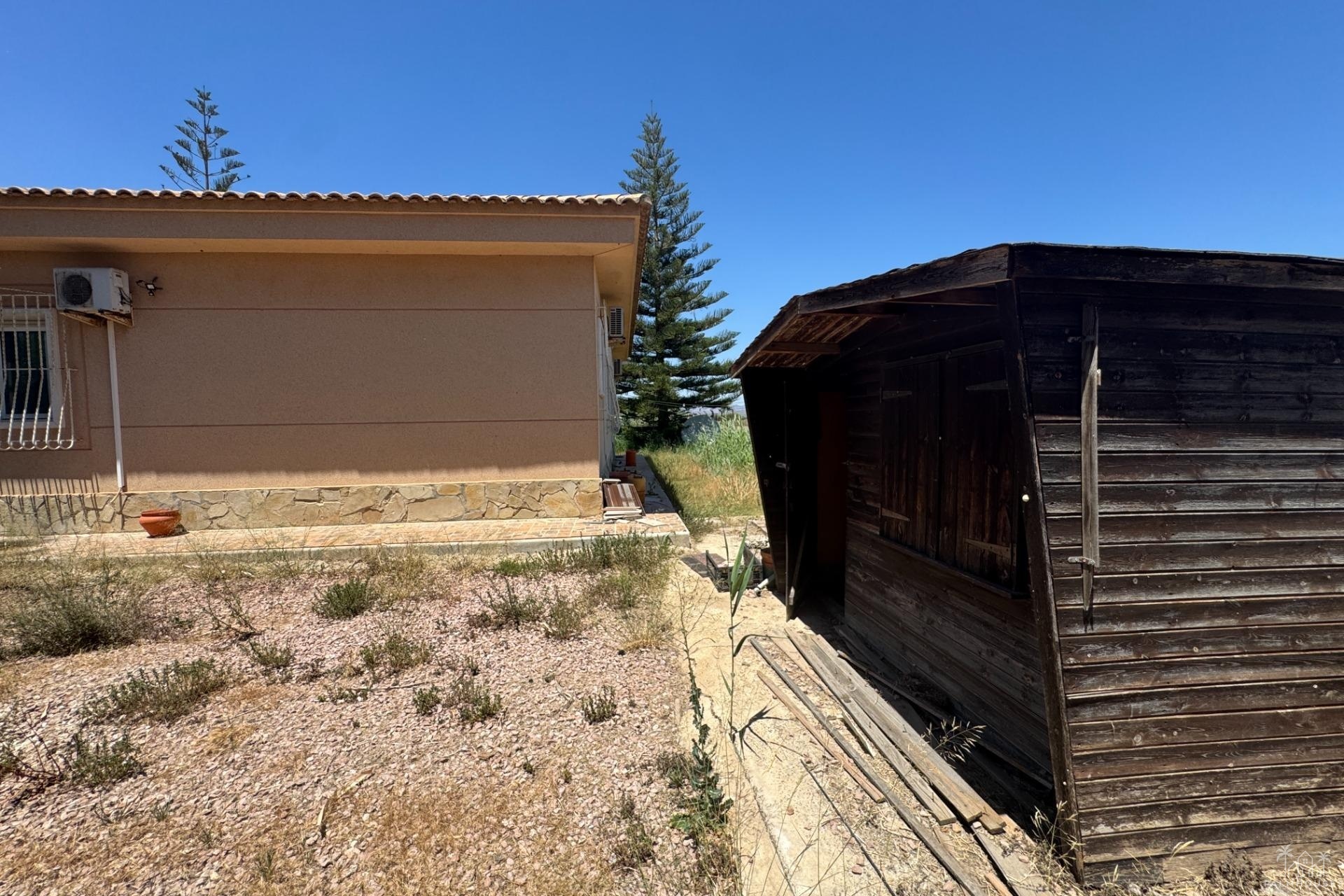 Venta - Finca - Dolores - Comunidad Valenciana