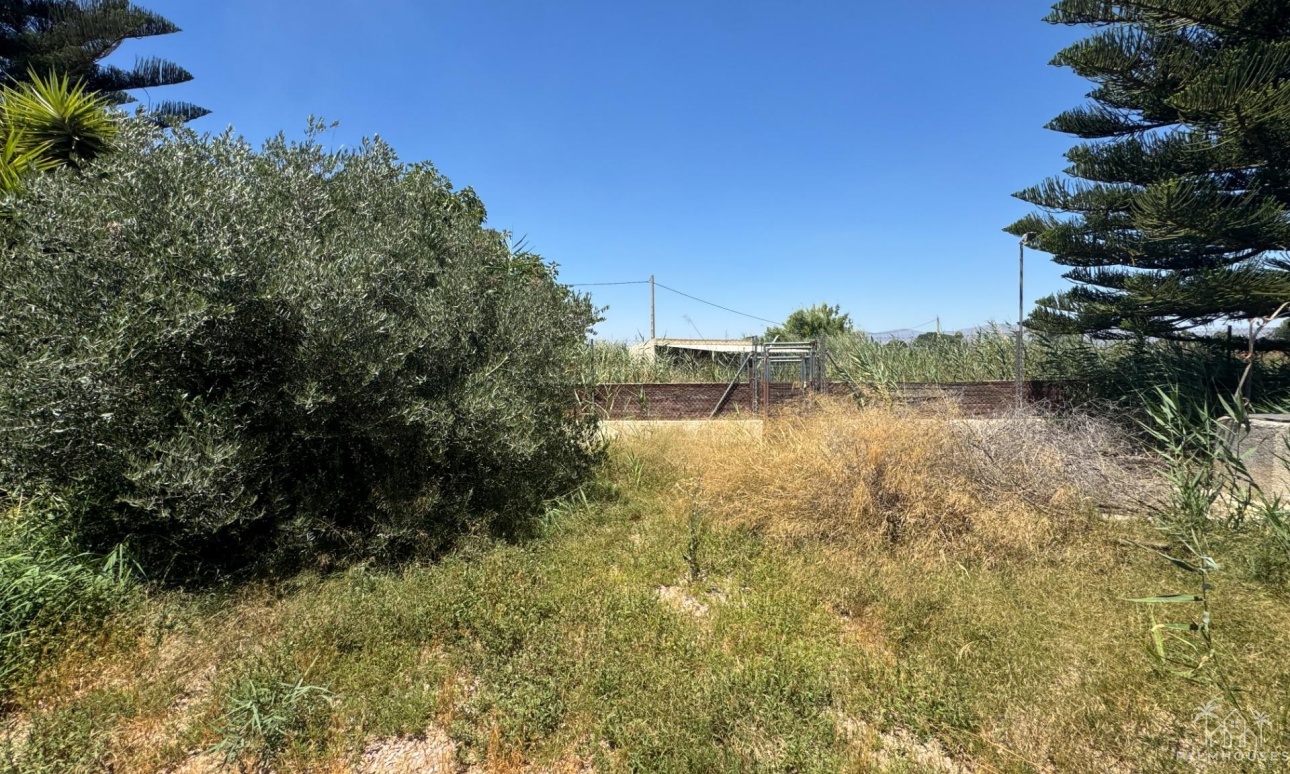 Venta - Finca - Dolores - Comunidad Valenciana