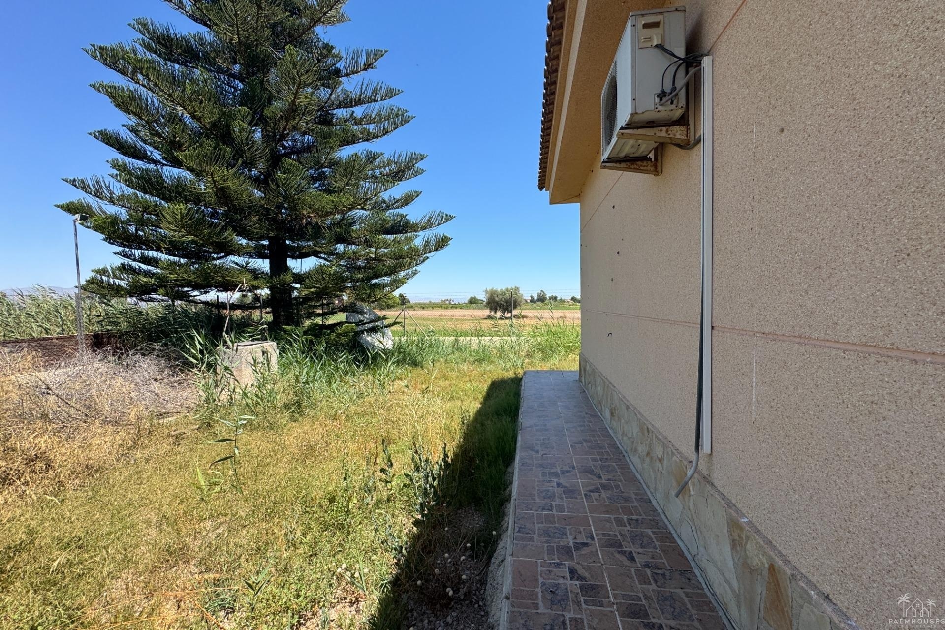 Venta - Finca - Dolores - Comunidad Valenciana