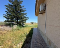 Venta - Finca - Dolores - Comunidad Valenciana