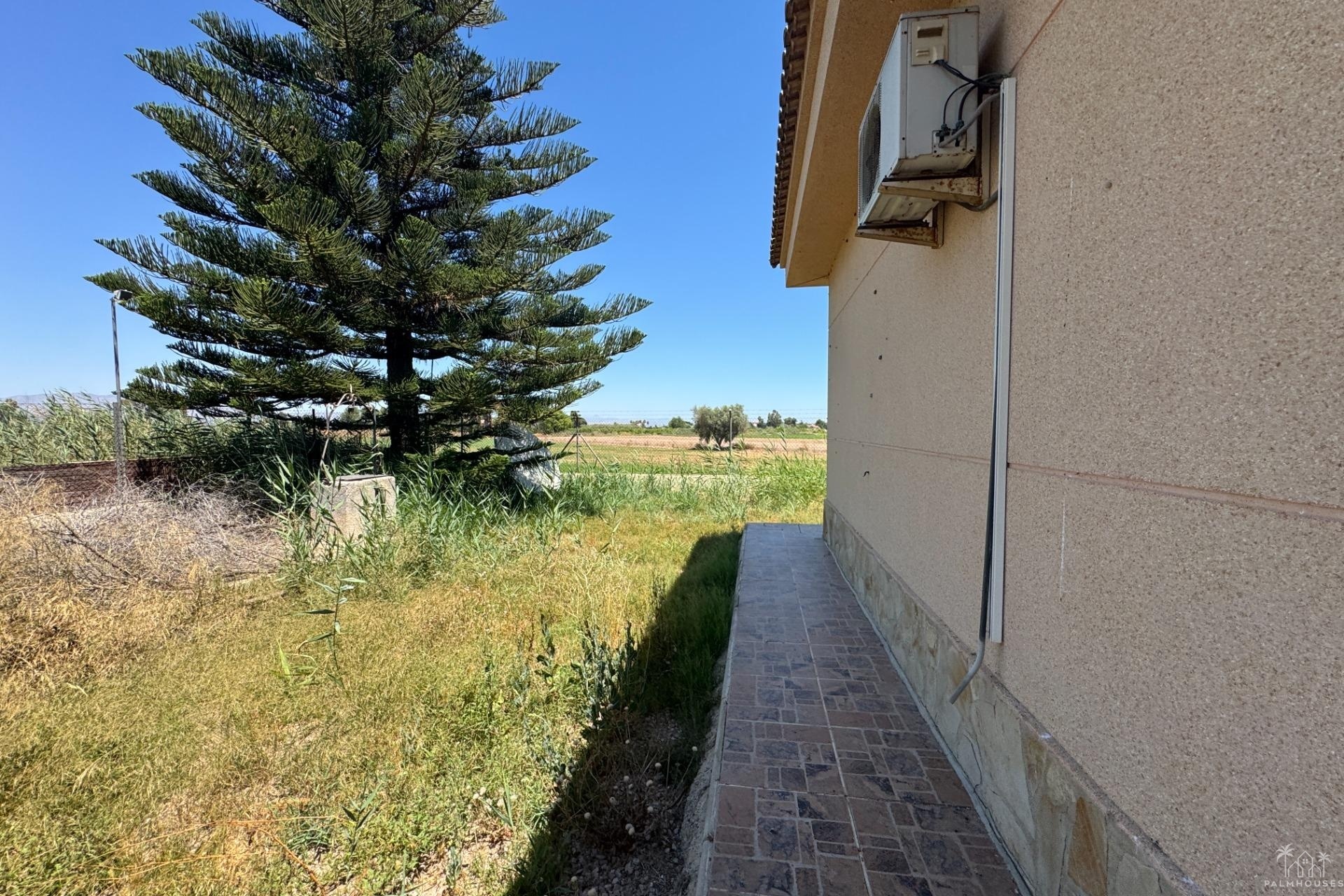 Venta - Finca - Dolores - Comunidad Valenciana