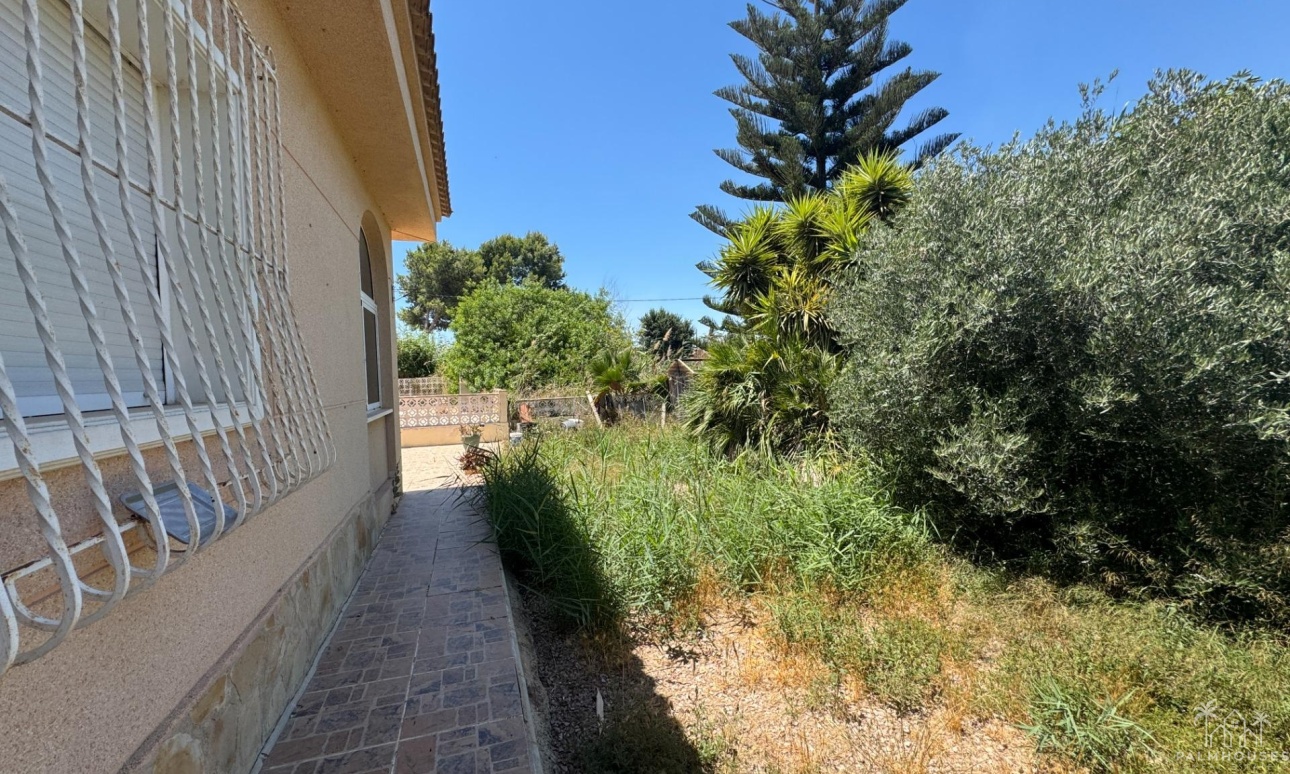 Venta - Finca - Dolores - Comunidad Valenciana