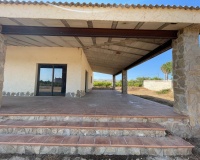 Venta - Finca - Elche - Matola