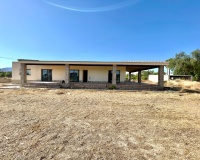 Venta - Finca - Elche - Matola