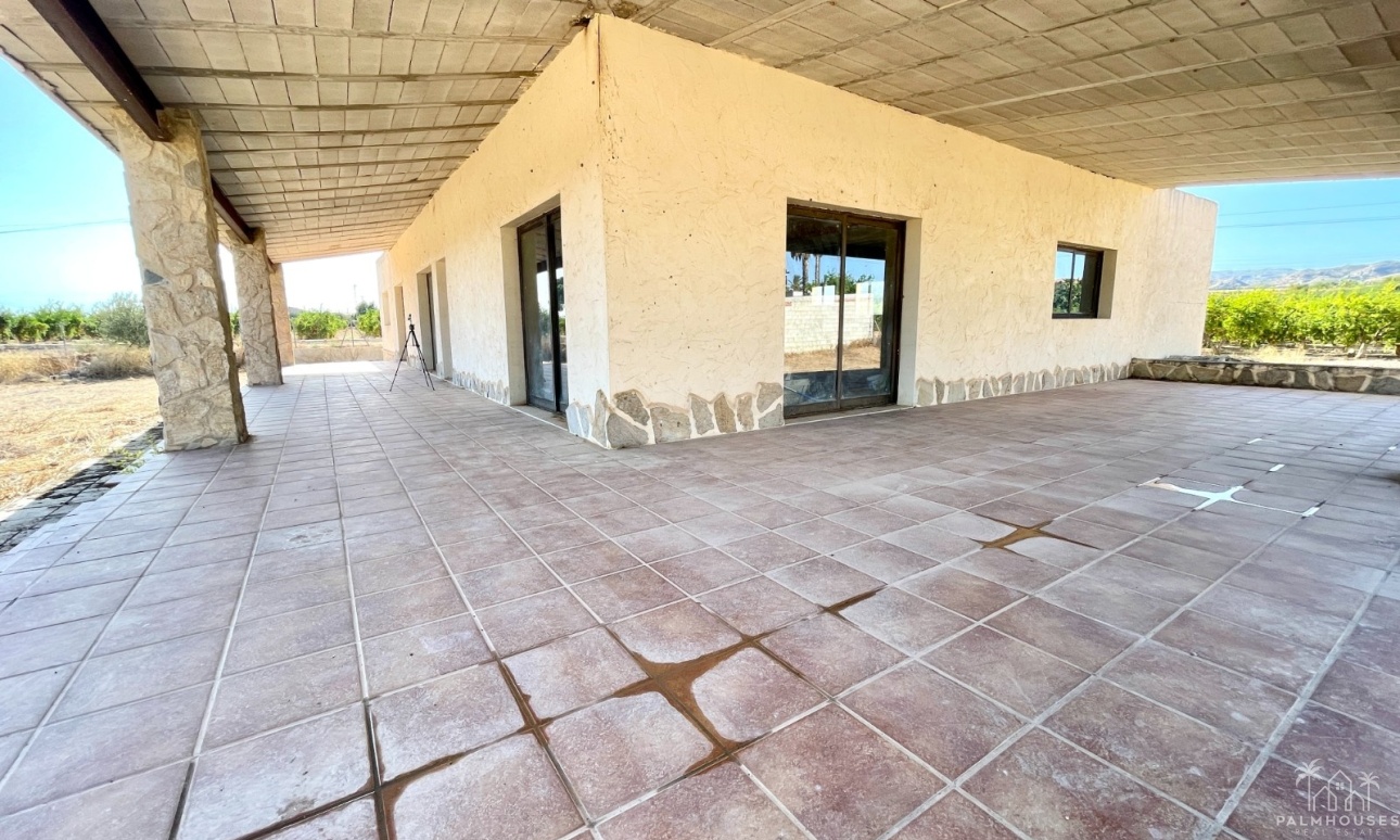 Venta - Finca - Elche - Matola