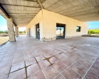 Venta - Finca - Elche - Matola