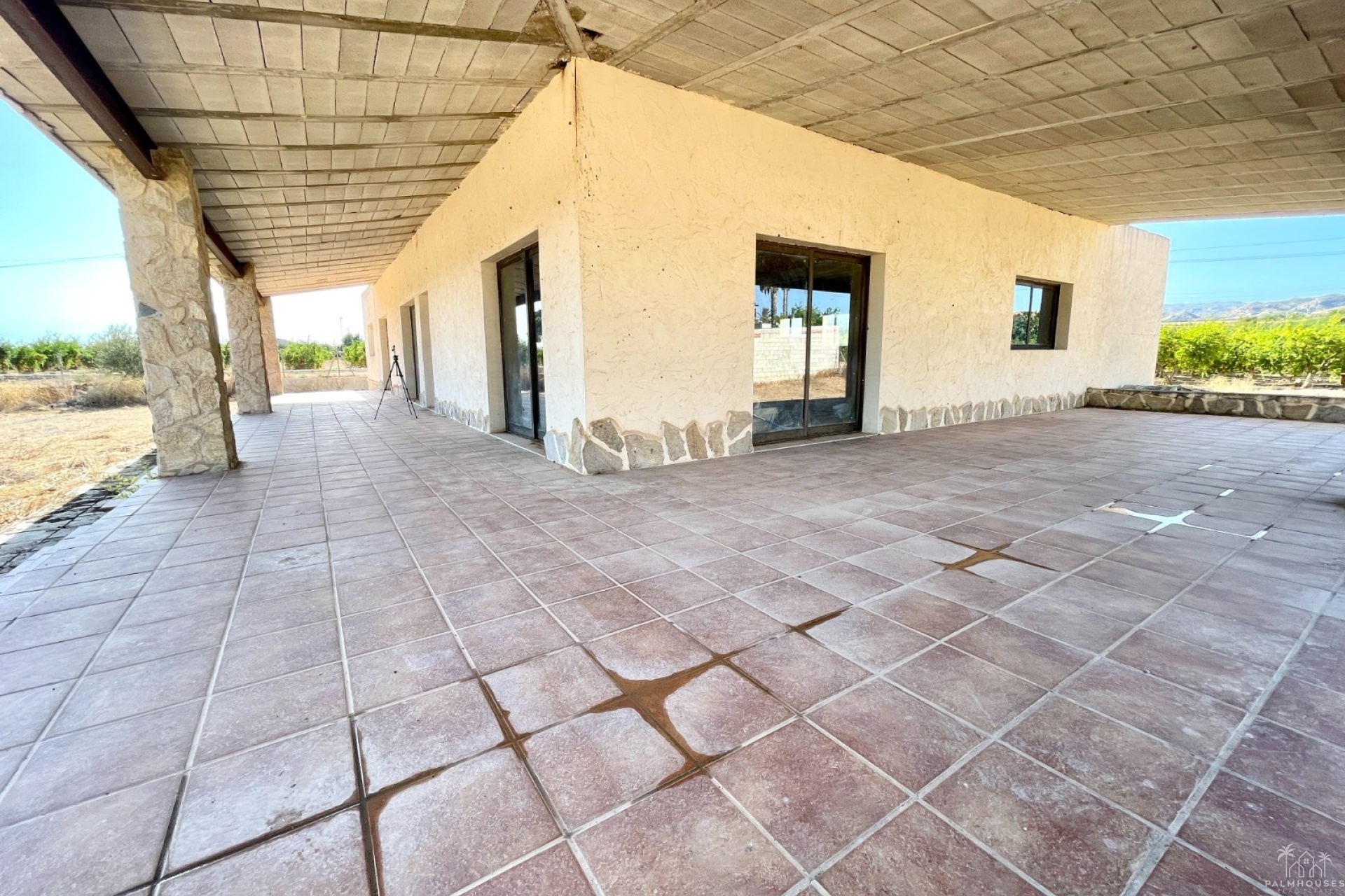 Venta - Finca - Elche - Matola