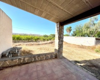 Venta - Finca - Elche - Matola