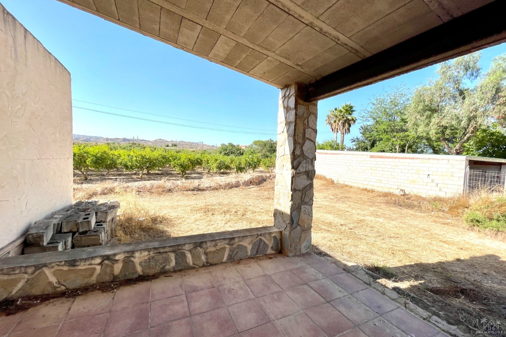 Venta - Finca - Elche - Matola