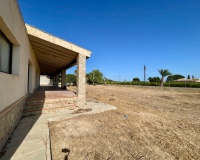 Venta - Finca - Elche - Matola