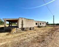 Venta - Finca - Elche - Matola